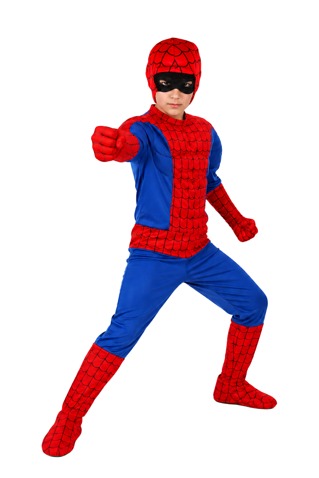 RAGNO ROYAL (CON MUSCOLI) DI PEGASUS